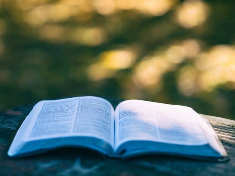 Séminaire de recherche en narratologie biblique