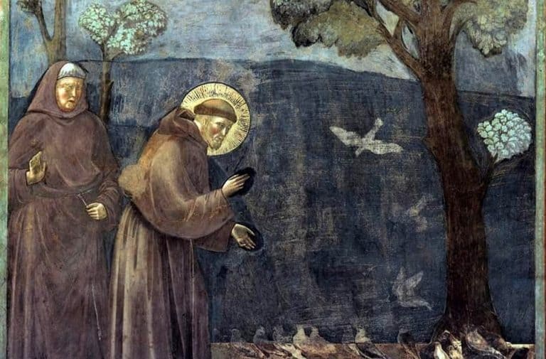 [cours en ligne] Ecologie et spiritualité franciscaines