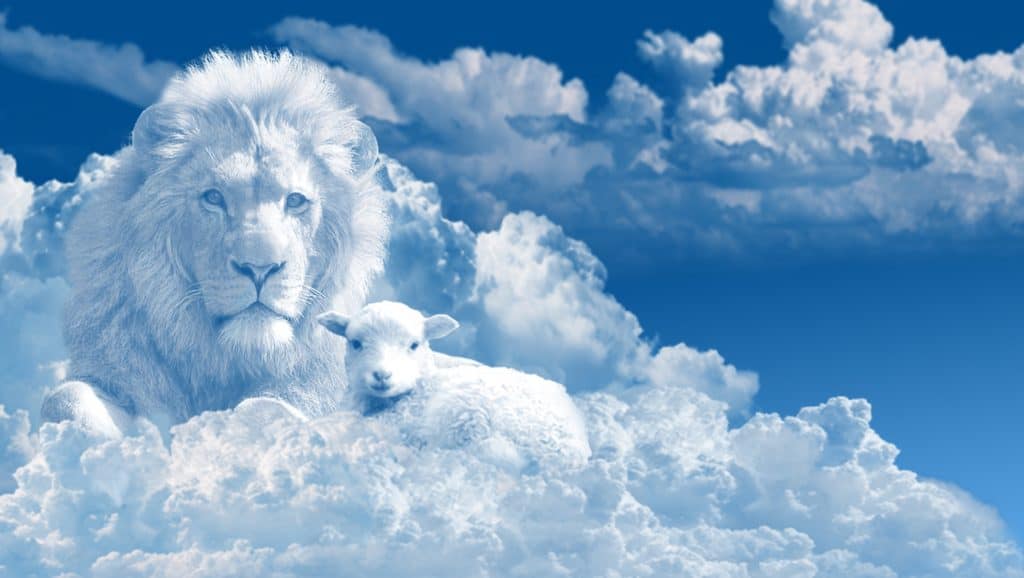 Aimez vos ennemis : le lion et l'agneau