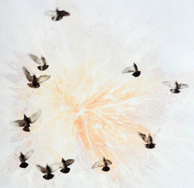 Spectacle de choeur théâtral : Et les oiseaux danseront les ailes brisées