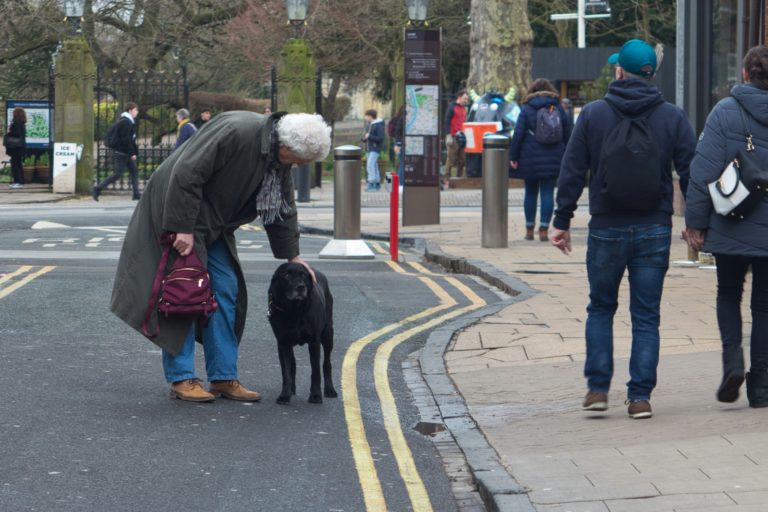 L’Église et les animaux #7: cohabiter avec les animaux