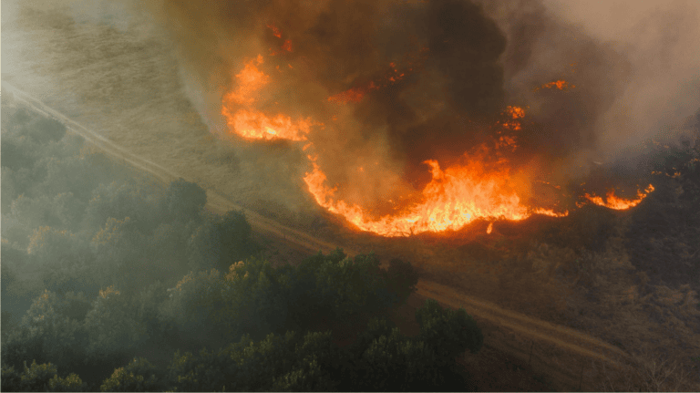 L’écologie au risque des crises – Mardis d&rsquo;éthique publique